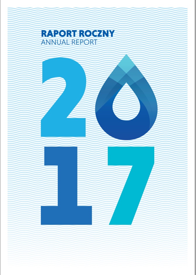 raport roczny 2017